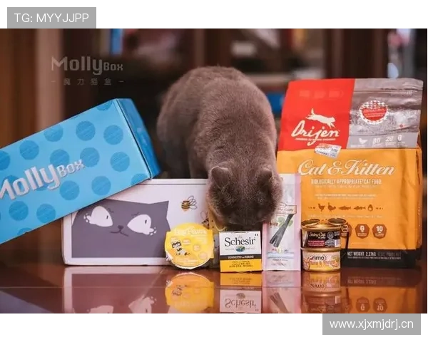 皇冠官方网站欢迎你，让你的每一次访问都充满惊喜和期待