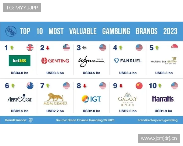 如何通过皇冠澳门域名打造专业的博彩网站品牌形象，提升用户信任度