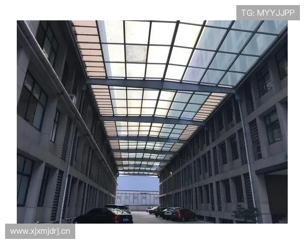 新濠锋娱乐最新动态与未来发展趋势全面解析助你掌握行业前沿信息 新濠锋娱乐最新动态与未来发展趋势全面解析助你掌握行业前沿信息